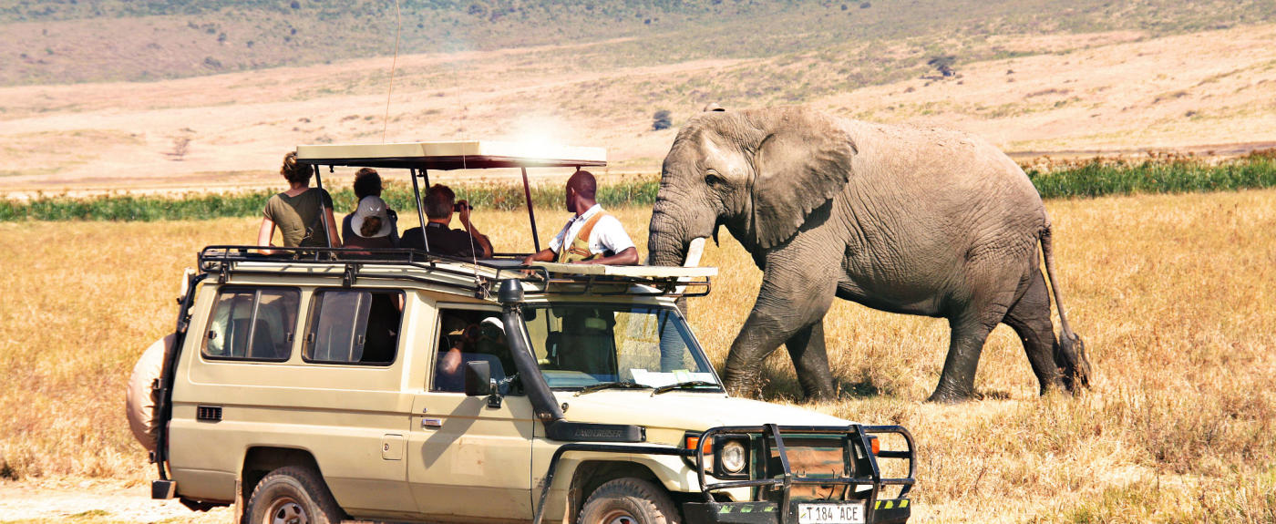 Tanzania Wildlife Safaris 